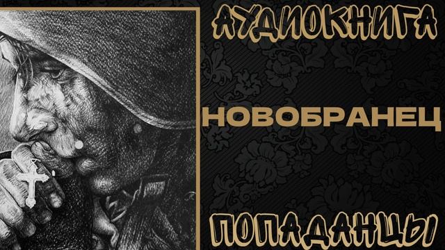 АУДИОКНИГА ПОПАДАНЦЫ: НОВОБРАНЕЦ смотреть онлайн