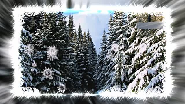 Зимний лес 5!!! Русская народная сказка от Киностудии Мудрого Кота Тимофея