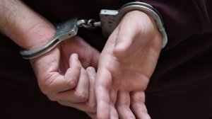 Сооснователя пирамиды «Финико» депортировали из ОАЭ в Россию