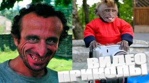 ПРИКОЛ \ ПОДБОРКА ПРИКОЛОВ Я РЖАЛ ДО СЛЕЗ, ЛУЧШИЕ ПРИКОЛЫ 2025 СМЕШНЫЕ ВИДЕО, ДЕВУШКИ , ПОДБОРКА