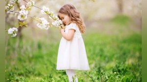 Вишнёвый сад