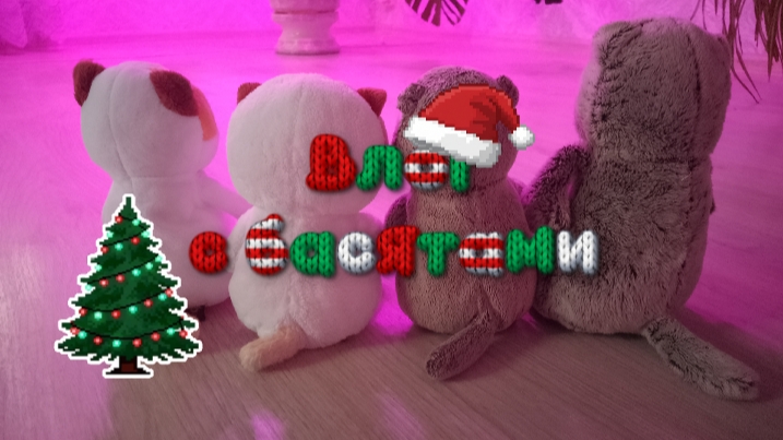 Зимний влог с басятами🎄