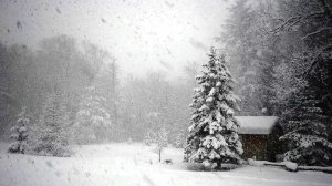 Снег летит и летит. Поёт Валентина Дробышева. Гармонь А. Чижов.