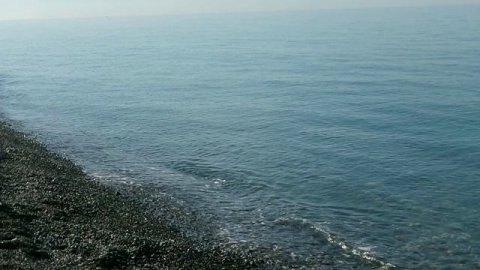 Последний день нашего отпуска в Абхазии. Уезжаем. Жаль..