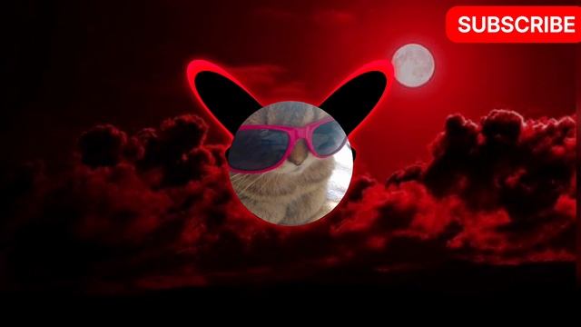 Montagem Rugada смотреть онлайн