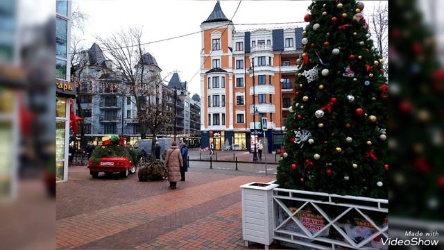 День в предновогоднем Светлогорске 13 декабря 2025