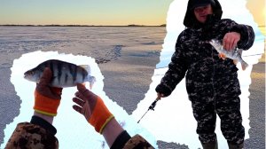 Рыбалка на озёрах ХМАО. Первые лапти на удочку.