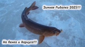 Зимняя Рыбалка 2025.На Хариуса в Амурской области!!!