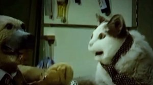 Бу испугался? не бойся