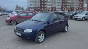 Калина в продаже