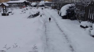 Просто день.Я от Люси в шоке!