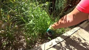 ОДИН ДЕНЬ ИЗ ЖИЗНИ В АНАПЕ. НА МОРЕ НЕ КУПАЕМСЯ. УБИРАЮ КОШМАР В БЕСЕДКЕ. ПРИГОТОВИЛА ПП ПИРОЖКИ