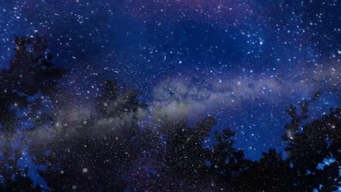 Медицина растений - сеанс музыкотерапии Синергия