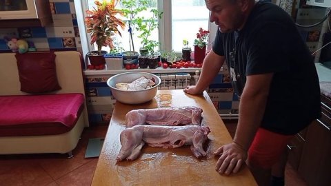 Кролики 90 ...