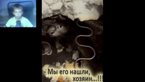 смотрю видосы на дзен 2