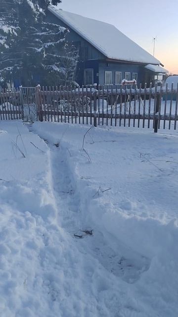 декабрь 2025.mp4 смотреть онлайн