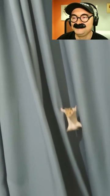 Мышка шпион смотреть онлайн