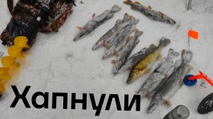 Отлично порыбачили,рыбалка на жерлицы в центре Екатеринбурга 14.12.25.