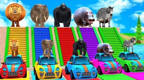 Машинки летают и прыгают! Развивающие мультики Машины помощники