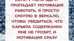 Анекдоты, юмор, статусы, приколы 😁