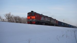 Тепловозы ТЭП70БС-219 и 2ТЭ10М-0714 с контейнерным поездом.