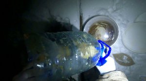 Заготовка живцов  10.12.25