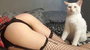 RANDOM sunday MEMES for you bros