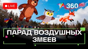 Шоу воздушных змеев. Курьяново. Трансляция