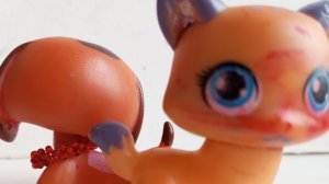 lps popular Brook and Savanna