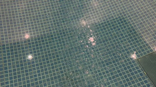 Лаундж-клуб Камелот