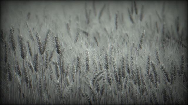 Заблудился в азиатской степи... Психологический хоррор. Страшные истории на ночь. Мистика