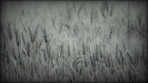 Заблудился в азиатской степи... Психологический хоррор. Страшные истории на ночь. Мистика