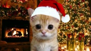 Буду бустить новичков часть:5 тг:@br_br_br_patapin4ik, айди 264077728 тгк:https://t.me/lenc4ikRUTUBE