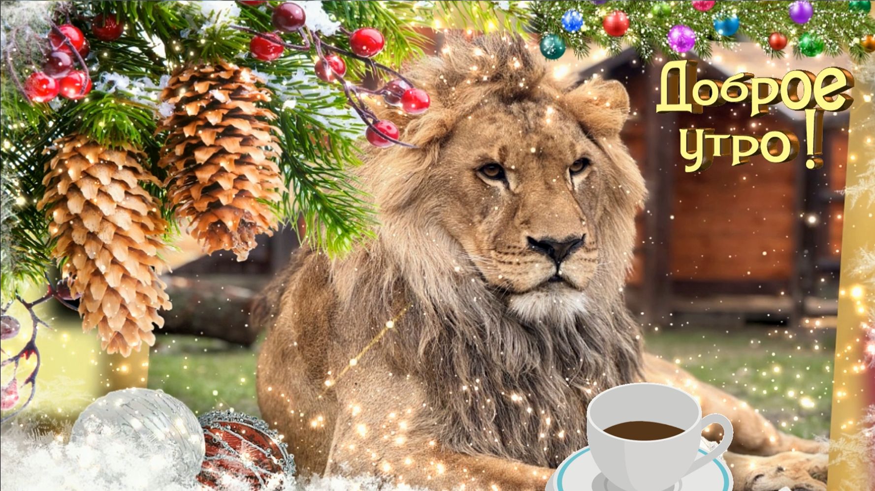 Доброе утро!