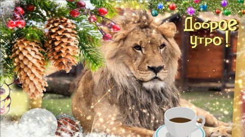 Доброе утро!