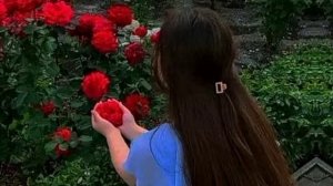 🥀Слушаю ветер 🥀2025