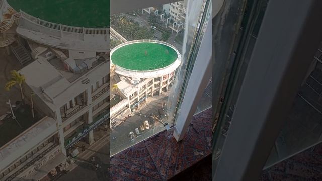 вот🤭Бум собаки