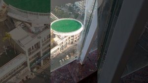 вот🤭Бум собаки