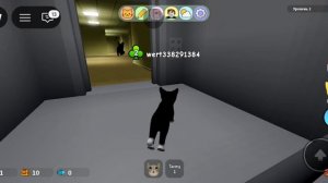 играю в игра с котятами все вышло из под контроля!!!!!!