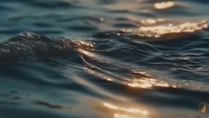 Никто не сможет остаться агностиком после просмотра этого