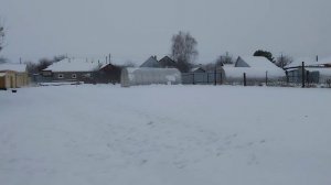 Ура, я опять не одна. Жизнь в родной Деревне.