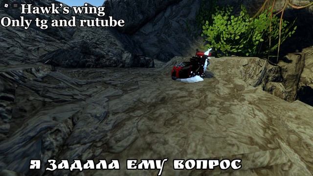 Новое видео