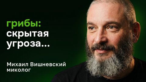 Тайна грибов: микродозинг, мухоморы, ежовик и грибы-убийцы — Михаил Вишневский, миколог