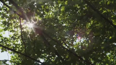 Чудесная природа :3