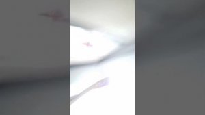 вторая часть Саша плакса 🤣