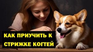Как приучить собаку стричь когти
