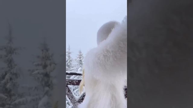 Шаловливые девочки. 18+. Эротика