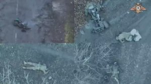 Враг пытается вырваться из окруженного Димитрова