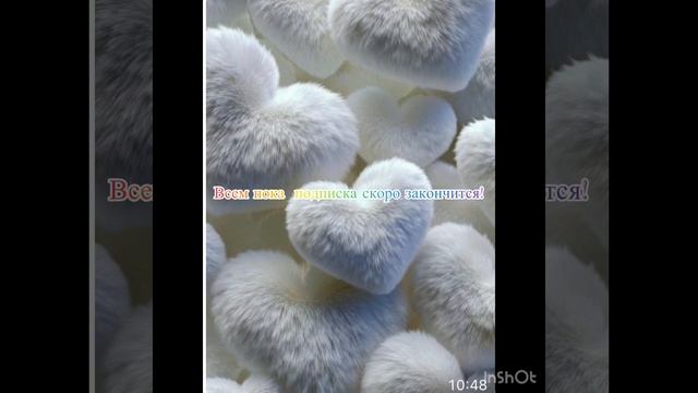 Взаимная подписка до 20 декабря