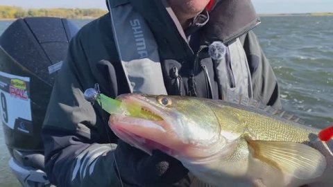 Максим Русяев. Поклевка огромного судака